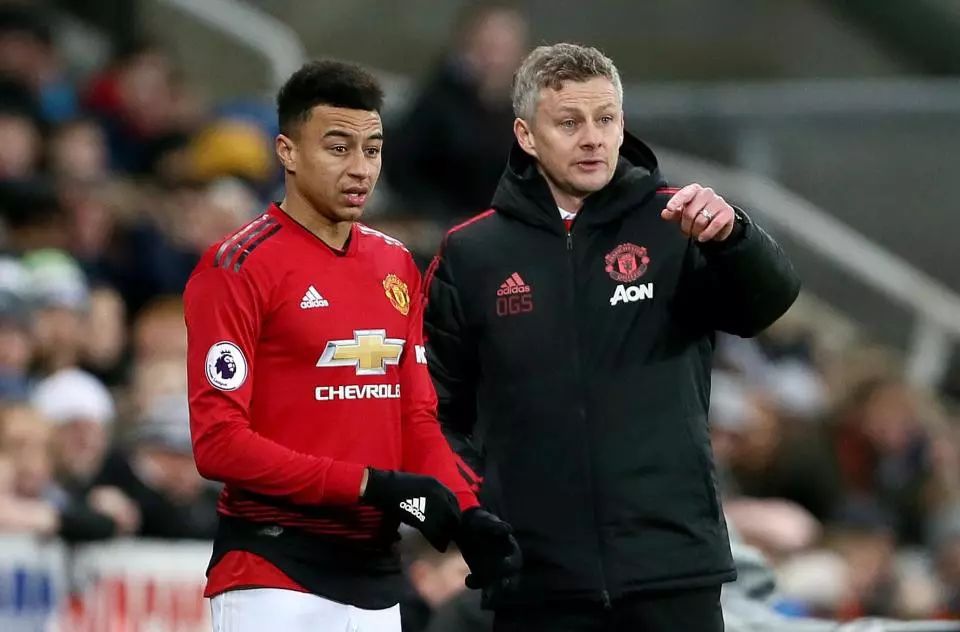 设在茂密的 设在茂密的